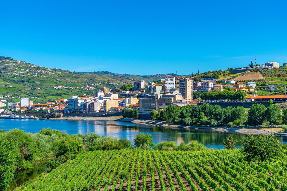 From Porto: Full-Day Douro Valley Trip and Port Wine Tasting - Scenic Drive Along N222