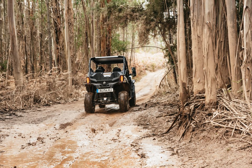 From Porto: Off-Road Buggy Adventure - Important Requirements