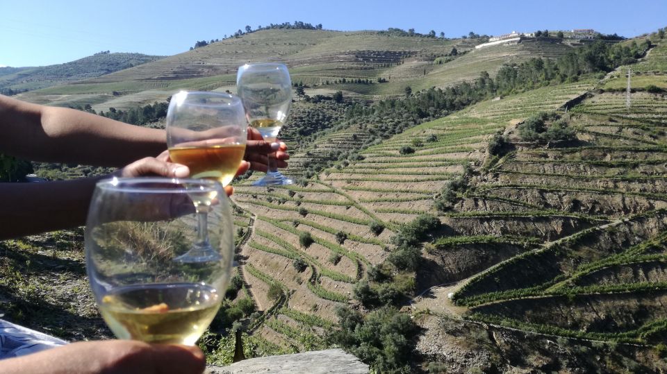 From Porto: Tastings at 2 Wineries, Chefs Lunch & Boat Tour - Wine and Port Tastings