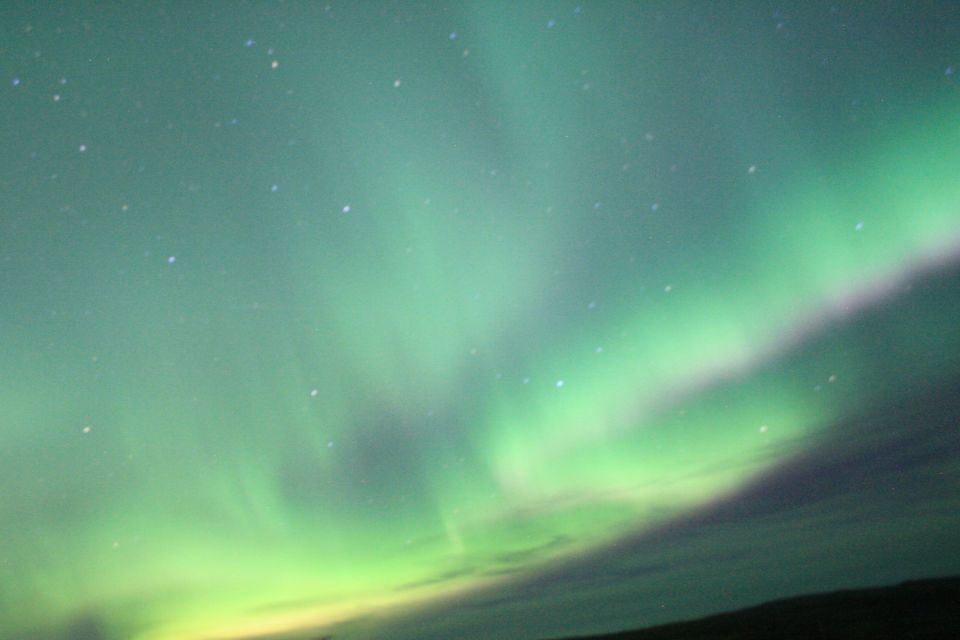 From Reykjavik: Northern Lights Boat Cruise - Inclusions