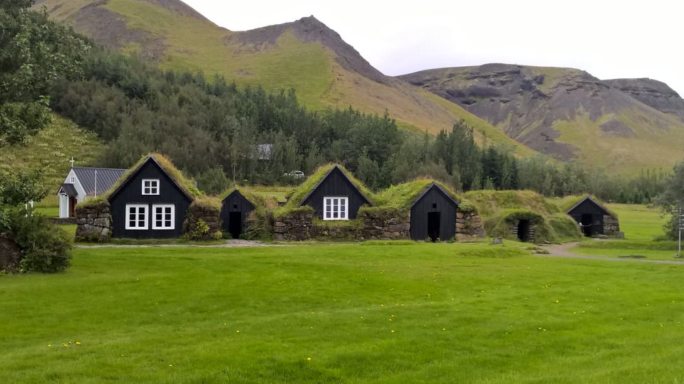 From Reykjavik: South Coast Private Tour - Observing Local Wildlife