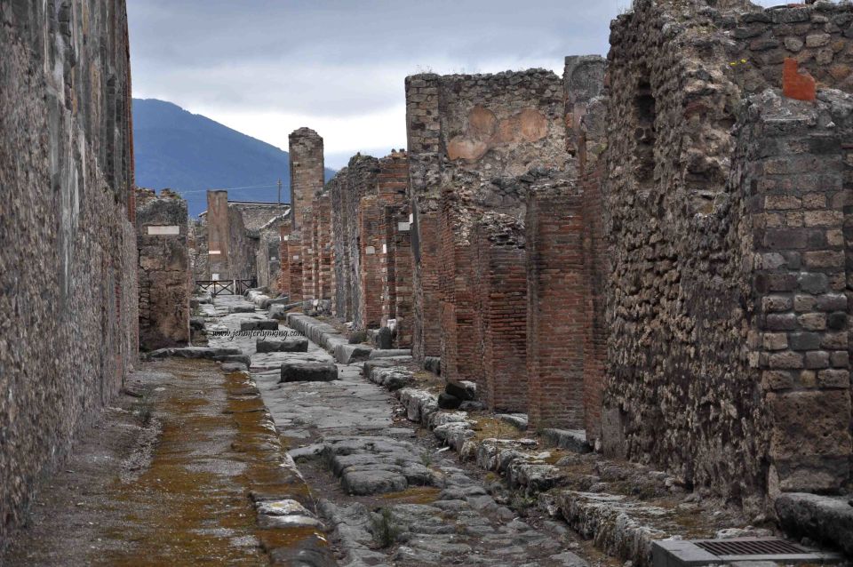 From Rome: Pompeii and Mount Vesuvius Private Tour - Mount Vesuvius Exploration