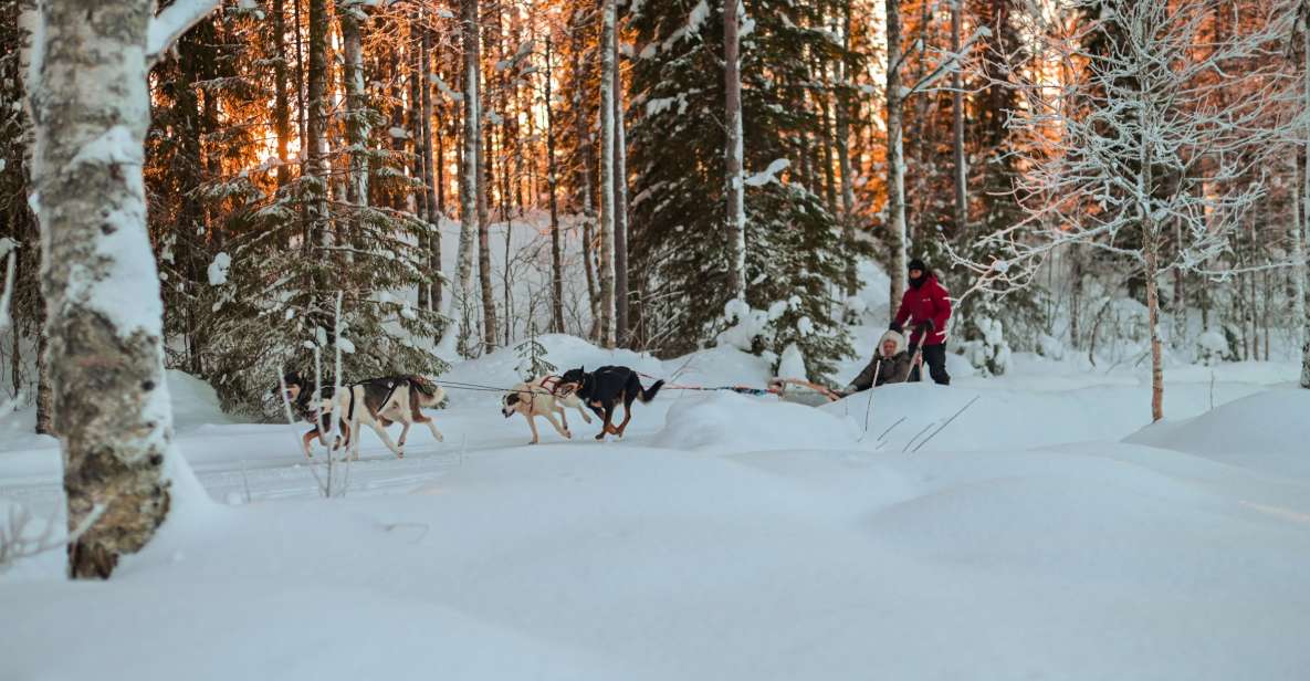 From Rovaniemi: Husky Safari and Salmon Ice Fishing - Catching the Elusive Salmon