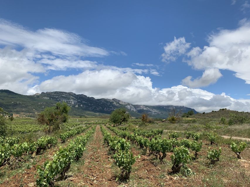 From San Sebastian: Rioja Wine Tour - Medieval Villages on St. James Route