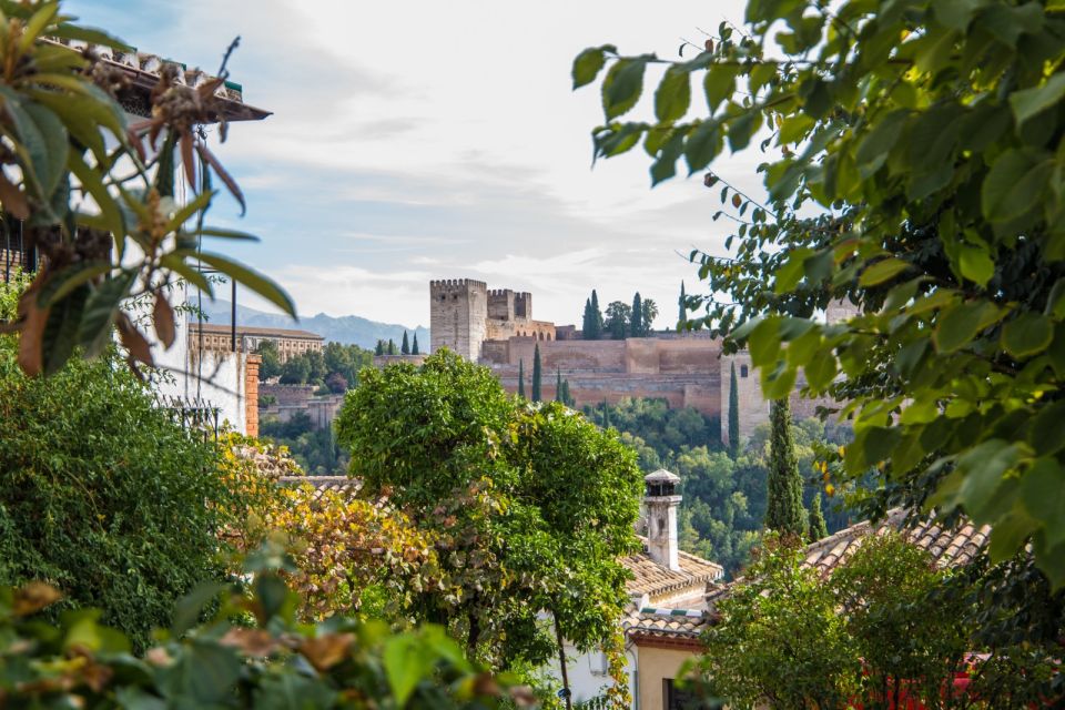 From Seville: Alhambra & Albaicín Private Tour - Albaidín Neighborhood Exploration