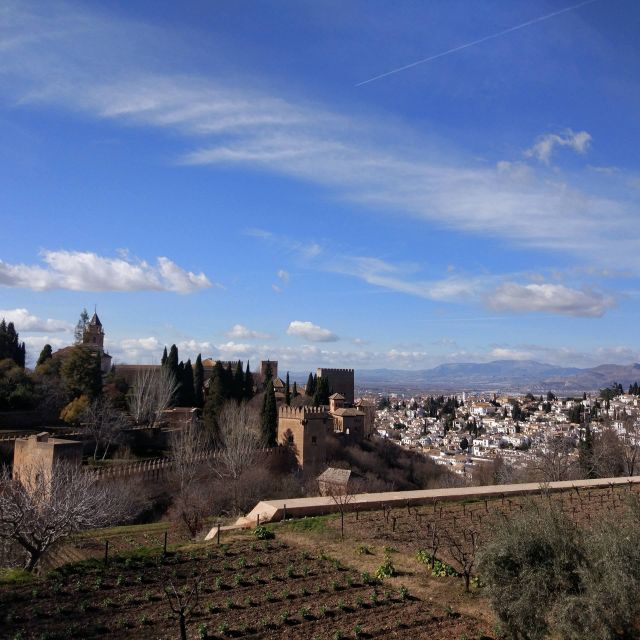 From Seville: Private Day Trip to Ronda and Granada - Cancellation and Booking Policies