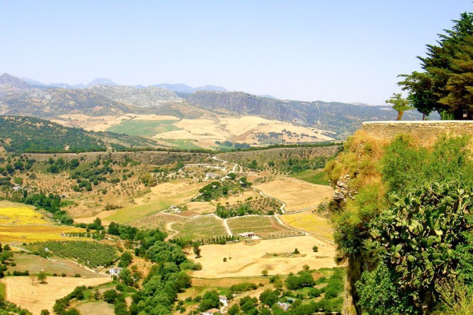 From Seville: White Villages and Ronda Tour - Ronda: Divide by Gorge