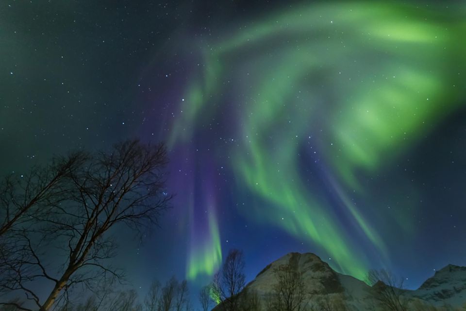 From Tromsø: Northern Lights Guided Bus Chase - Tour Flexibility