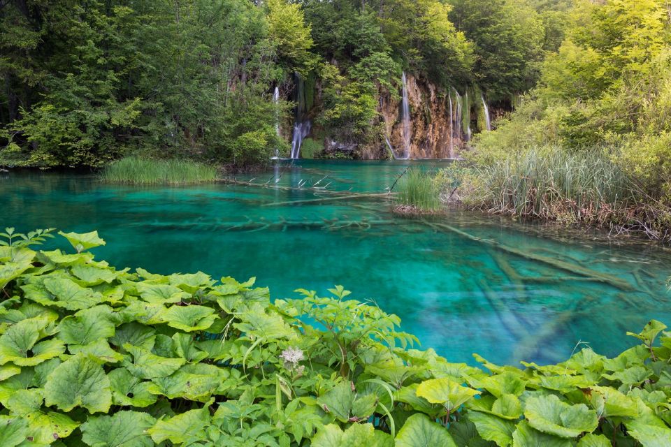 From Zadar: Plitvice Lakes Private Round-Trip Transfer - Important Information for Guests