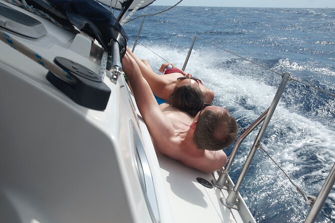 Fuerteventura Sailing Trip From Morro Jable - Sights and Wildlife to Expect