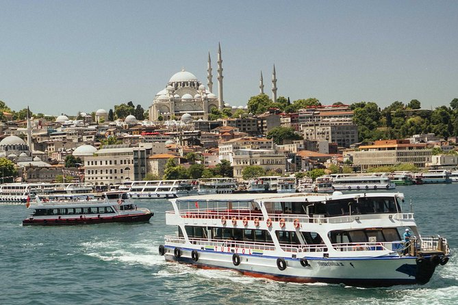 Full Coverage Istanbul Private City Tour - Accessibility and Fitness Level