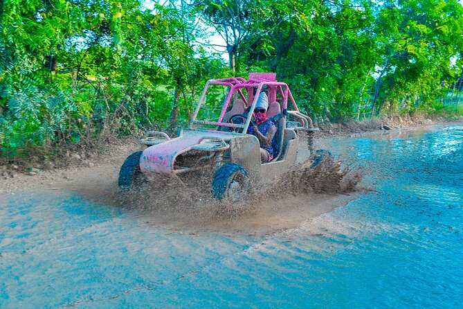 Full-Day Off-Road Dune Buggy, Coffe Tasting, Snorkel &Boat Cruise - Transportation and Capacity