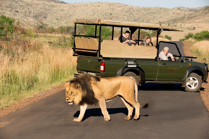 Full Day Pilanesberg Experience in Open Vehicle - Accessibility and Accommodations