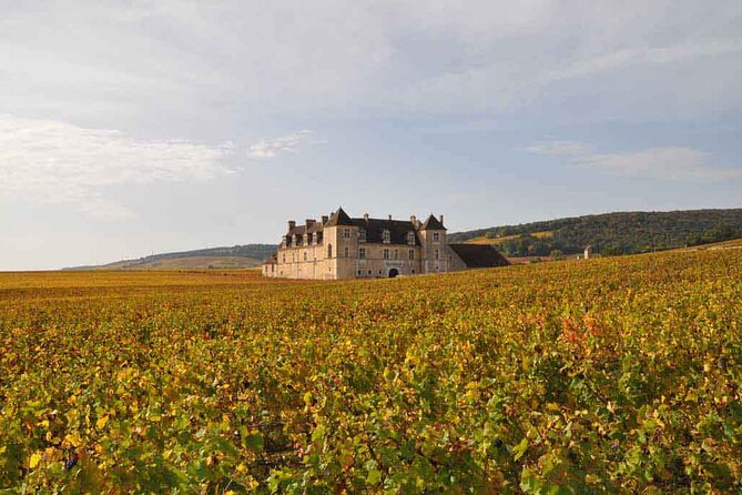 Full Day Private Tour 10 Premier & Grand Cru Vineyards, The Best of Burgundy - Logistics