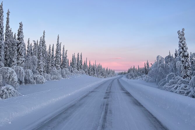 Full-Day Reindeer Tour With Pickup in Kiruna - Confirmation and Accessibility