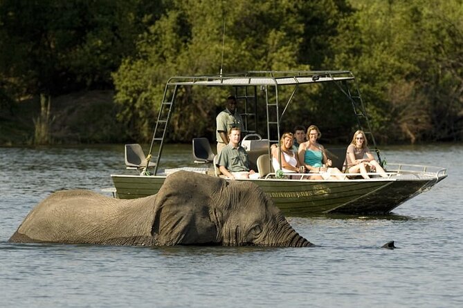 Full-day Safari Tour in Chobe - What to Expect