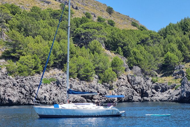 Full-Day Sailing Excursion Along the Coast - Memorable Experiences Ahead