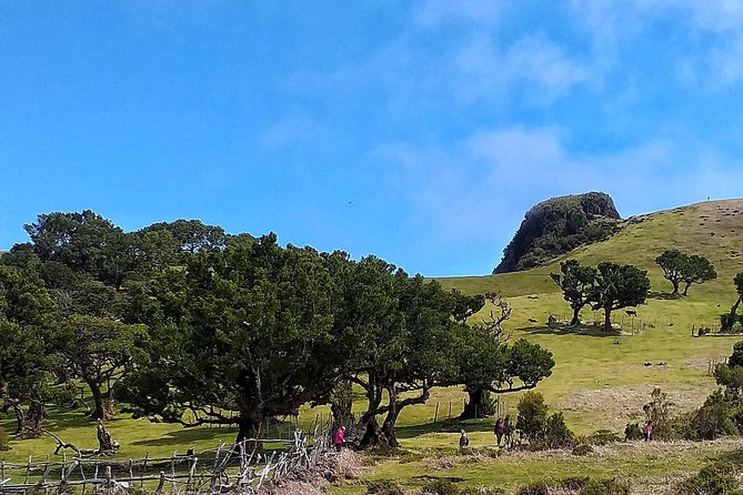 Full-Day Small Group Jeep Safari Tour From Funchal - Exploring Madeiras Landscape