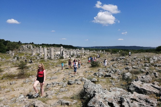 Full-Day Small-Group Tour of Bulgaria by Minivan With Lunch - Accessibility Information