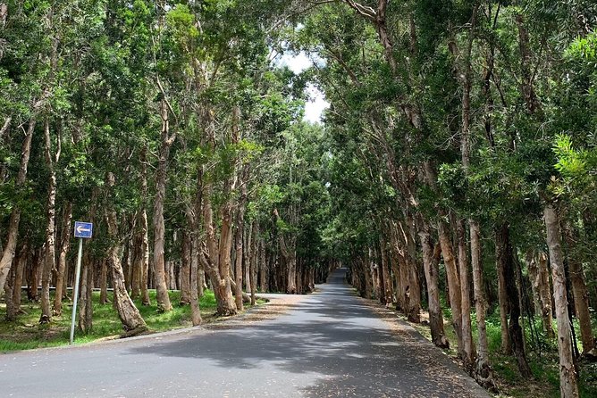 Full-Day Tour of South West Mauritius - Natural Park Scenery