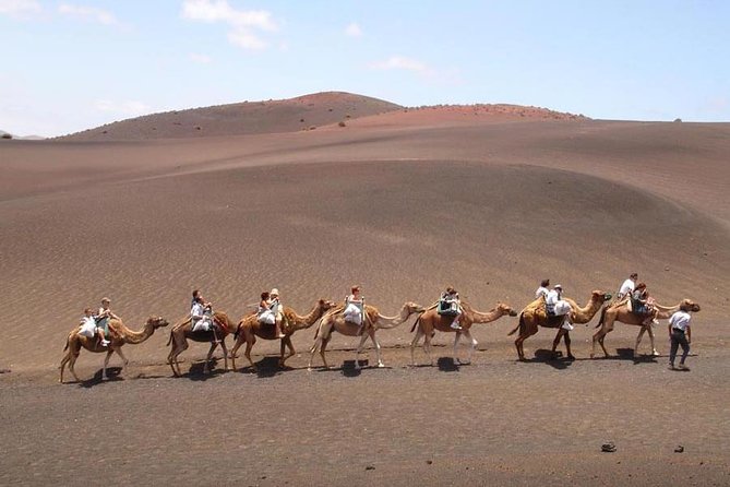 Full Day Tour to Timanfaya, Green Lagoon and La Geria - Inclusions