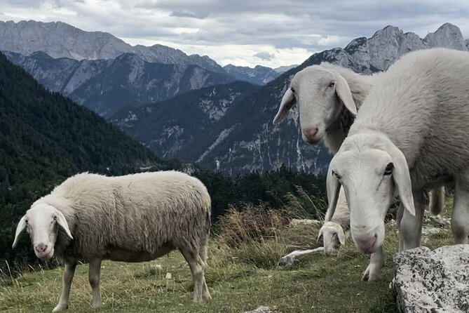 Full-Day Triglav National Park Tour From Ljubljana - Pickup and Drop-off