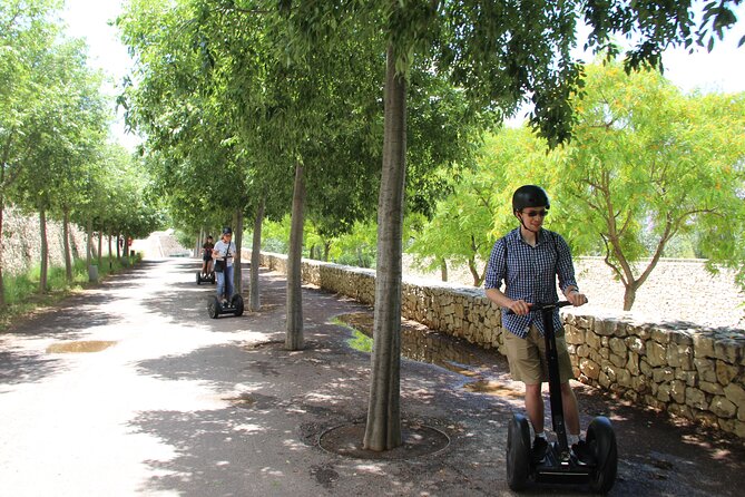 Fun Private Segway Tour in Valencia - Meeting Point and Operating Hours