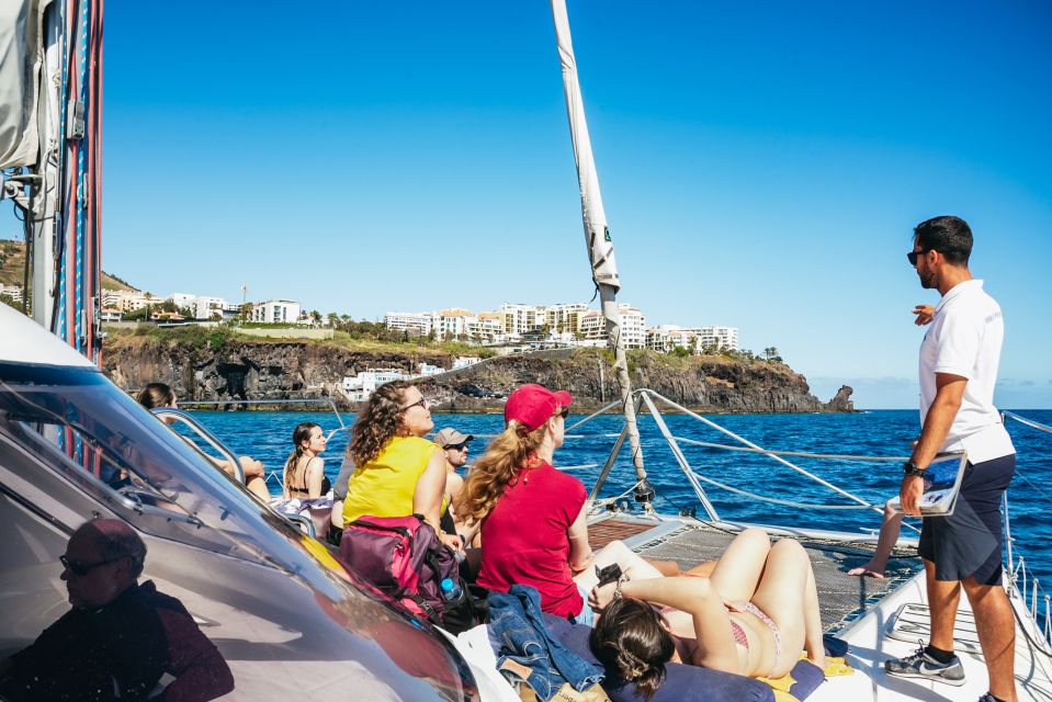 Funchal: Dolphin and Whale Watching by Luxury Catamaran - What to Bring and Restrictions