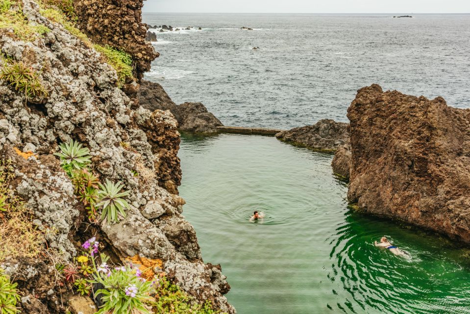 Funchal: Enchanted Terraces, Porto Do Moniz & Fanal 4WD Tour - Laurisilva Forest Exploration