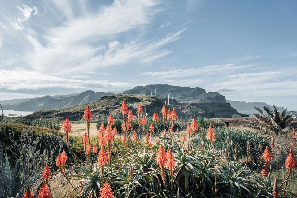 Funchal: Explore Madeira Island in 4X4 North East - Exploring Island Treasures