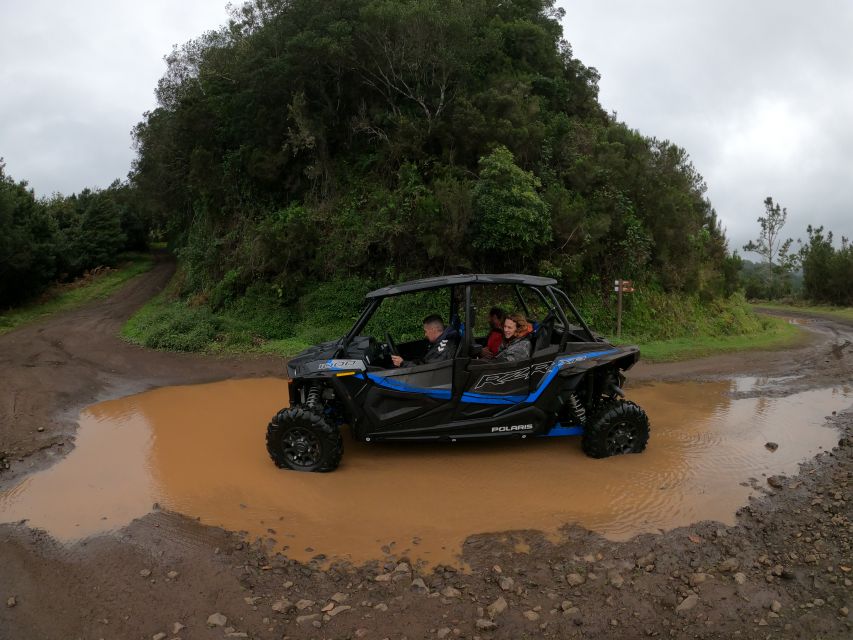 Funchal: Private Off-Road Buggy Tour With Guide & Transfers - Requirements and Restrictions