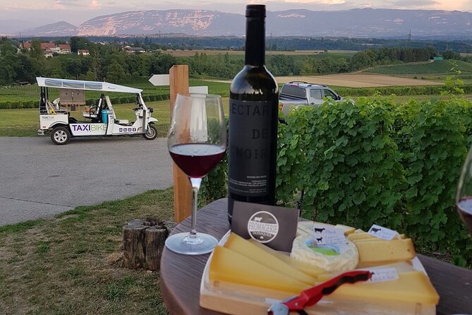 Geneva Panoramic & Tasting Vineyards Tour in an Electric Tuk Tuk - Exploring Genevas Vineyards