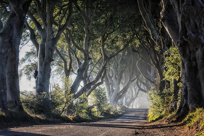 Giants Causeway and More Including Titanic Experience Ticket Tour From Belfast - Dunluce Castle Ruins