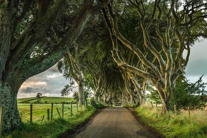 Giants Causeway Day Tour From Dublin - Coastal Paths and Panoramic Views