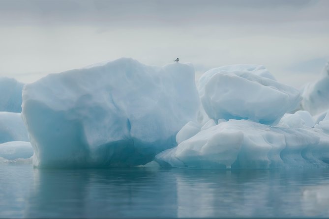 Glacier Lagoon and Diamond Beach Guided Day Trip From Reykjavik - Opportunity to View Northern Lights