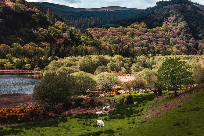 Glendalough Day Tour From Dublin: Including Kilkenny City - Transportation and Amenities