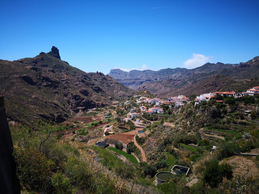 Gran Canaria: Customizable Private Tour - Accessibility and Pet Policy