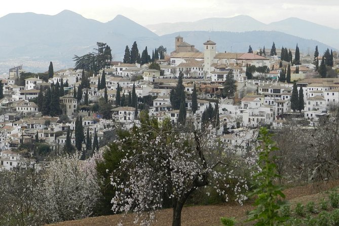 Granada Day Trip: Alhambra & Nazaries Palaces From Seville - Exploring the Albaicin Neighborhood