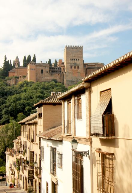 Granada - Historic Center Private Walking Tour - Inclusions