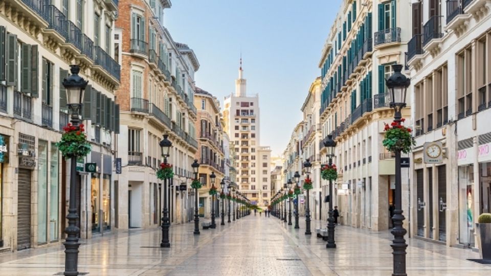 Grand Tour: Malaga's Best Sights and Surroundings - Panoramic Viewpoint at Gibralfaro