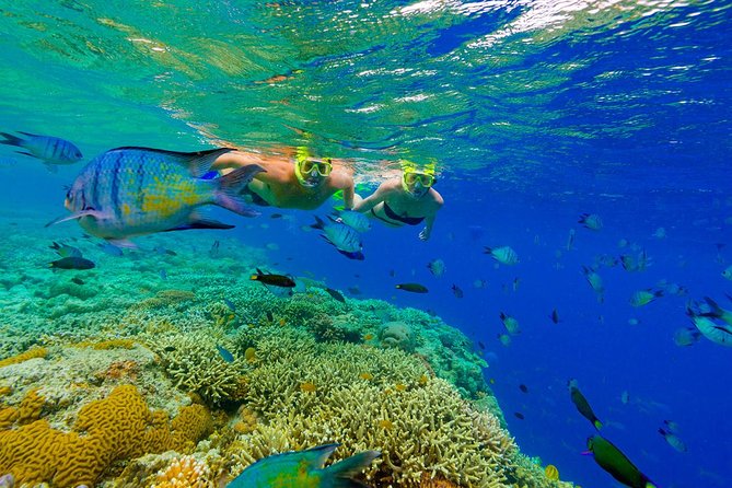 Great Snorkeling Cruise With Sharks & Stingray Encounter and Natural Pool - Accessibility and Age Restrictions