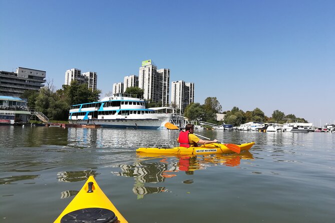 Great War Island Kayak Adventure - Traveler Reviews of the Activity