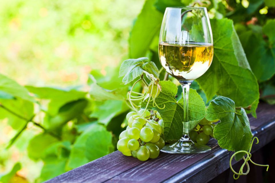 Green Wine Full-Day Premium Wine Tour - Authentic Regional Cuisine