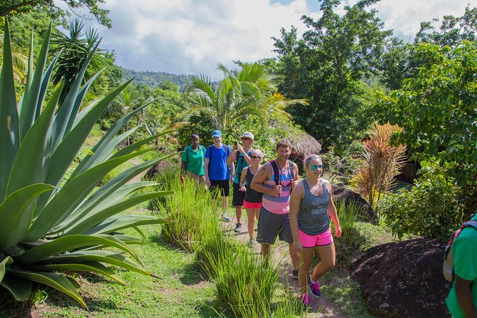 Gros Piton Hike - Group Size and Hike Difficulty