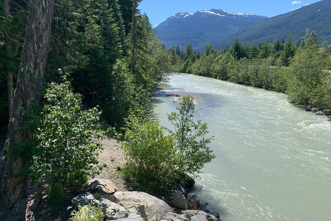 Guided Bike /E-bike Tour in Whistler From Vancouver - Bike and E-bike Options