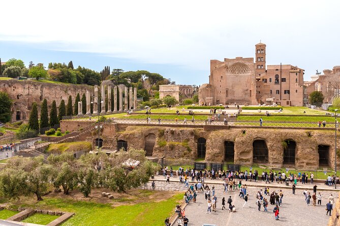 Guided Colosseum Tour With Roman Forum & Palatine Hill - Colosseum Entrance Ticket and Reservation