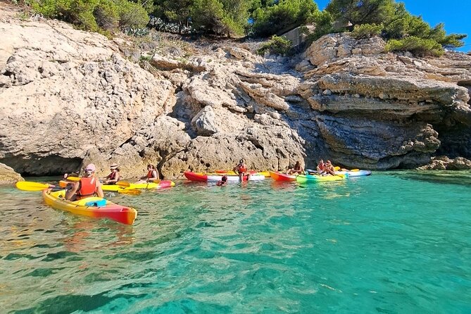 Guided Kayak Excursion in Creeks - Physical Fitness Requirements