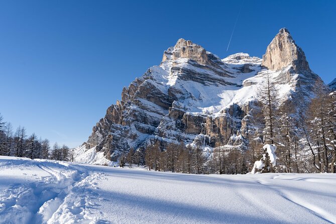 Guided Snowshoeing Day to Discover the Dolomites - Private Tour and Pricing