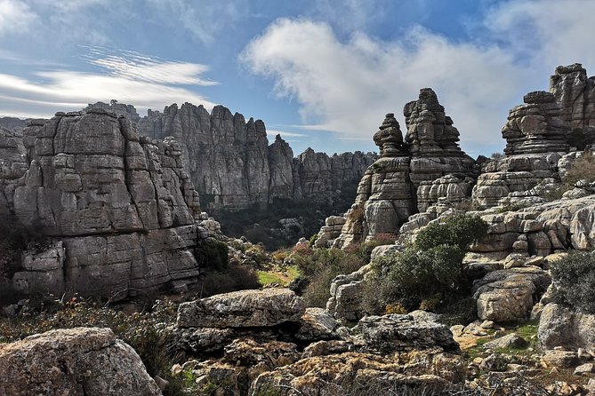 Guided Tour of the Dolmens and El Torcal - Tour Duration and Group Size