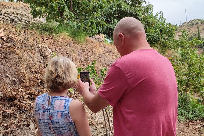 Guided Tour to the Only Coffee Farm in Europe - Start Time